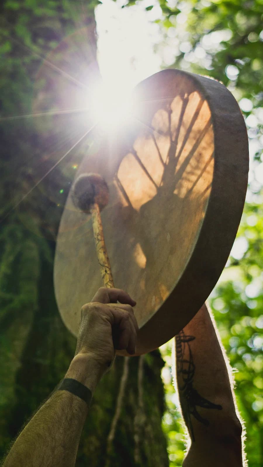 Harmonic Egg® App — Sound Therapy Anywhere
