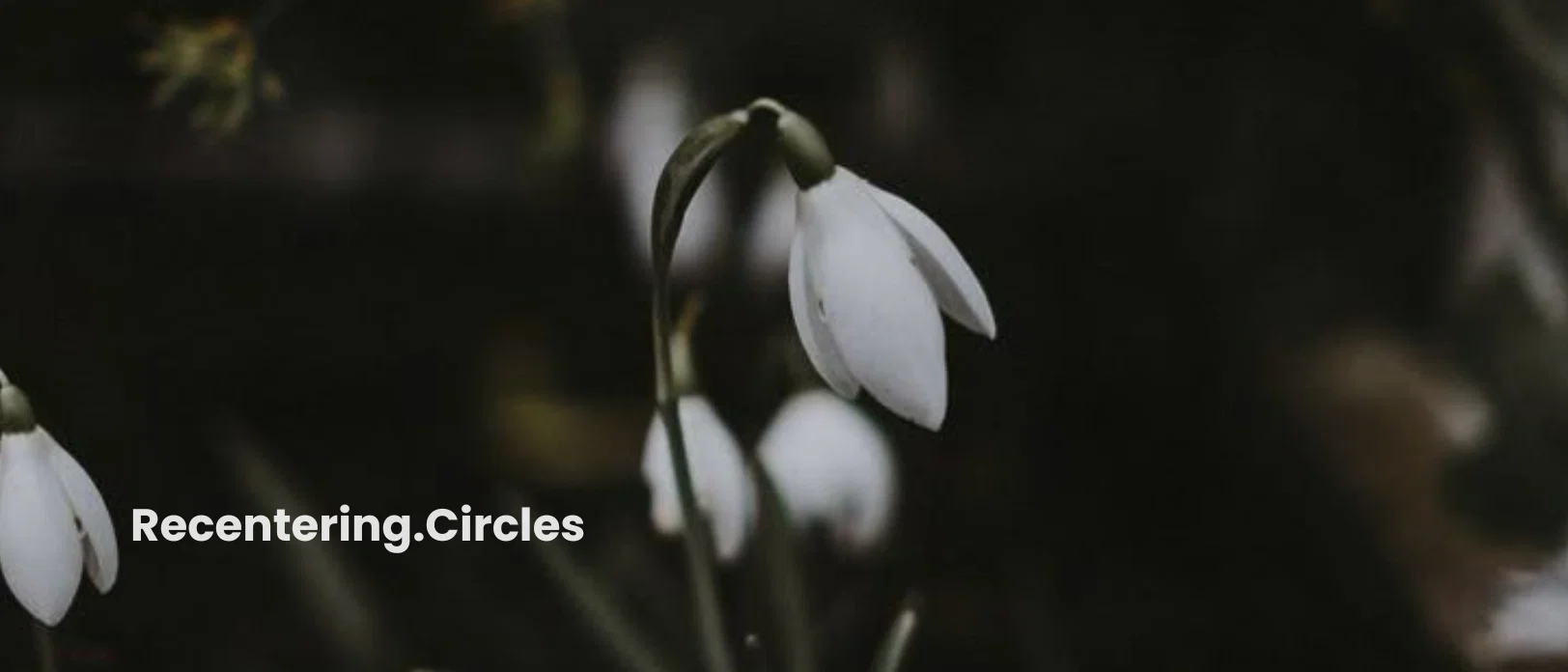 ReCentering Circles